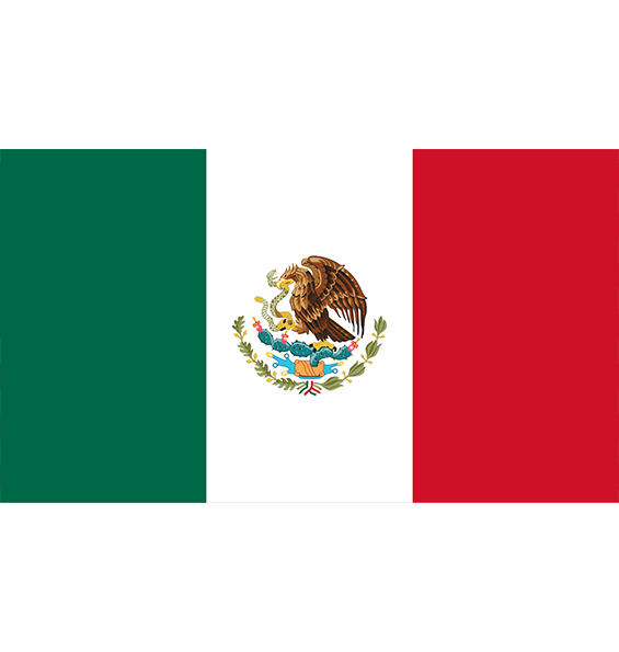 メキシコのお客様
