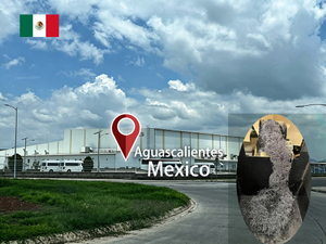260708-Aguascalientes,-Mexico封面.jpg