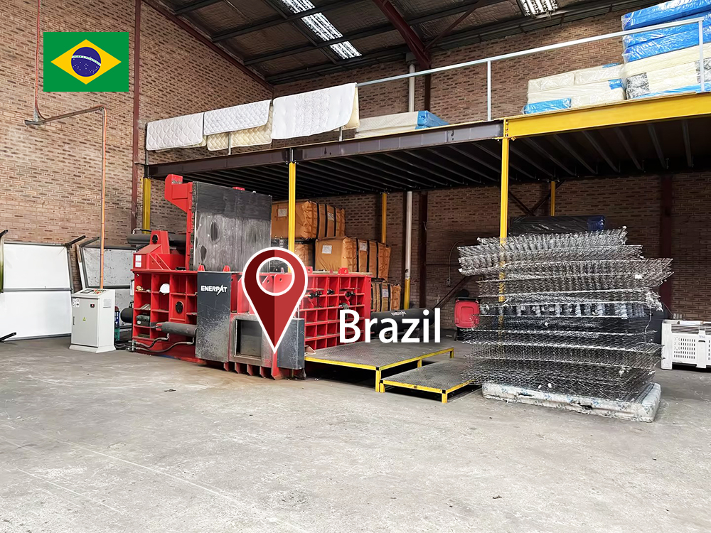 地域: ブラジル