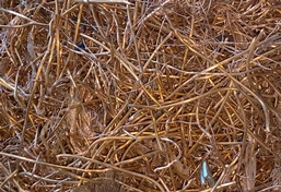 Scrap Copper Wire-after