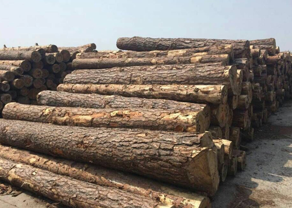 木材の削り出しおよび袋詰め装置