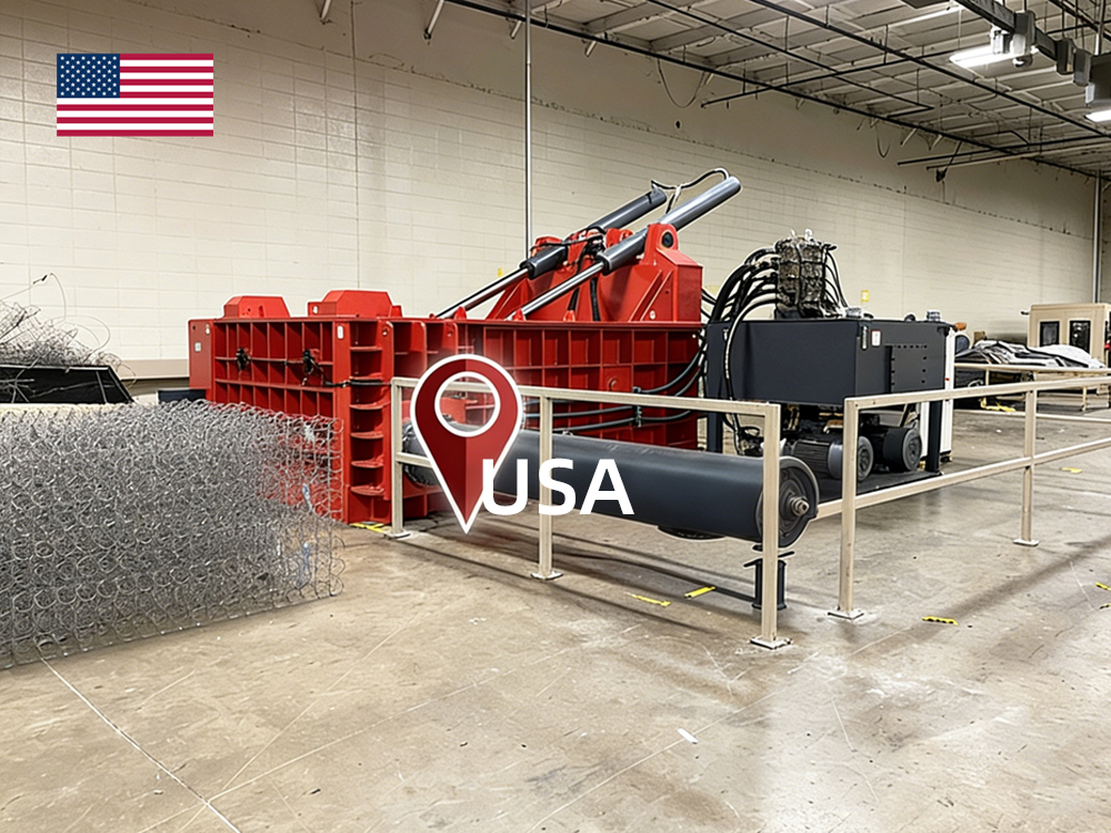 地域: アメリカ